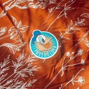 BOGO vintage WDW donald pass holder magnet